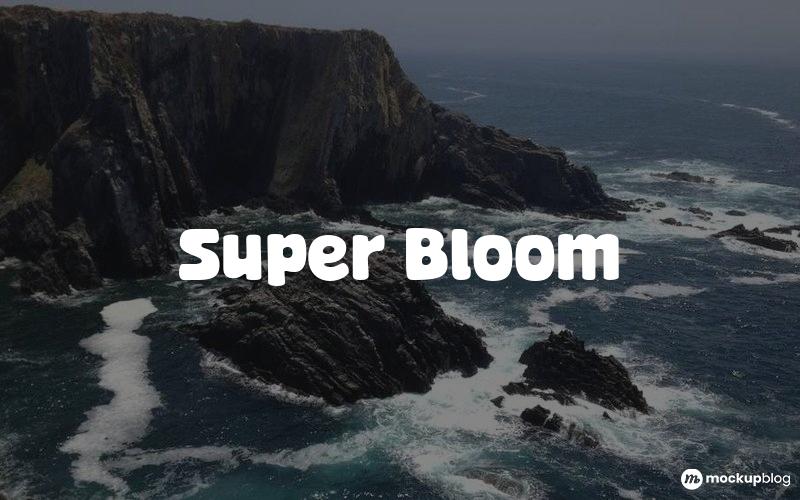 Super Bloom Font