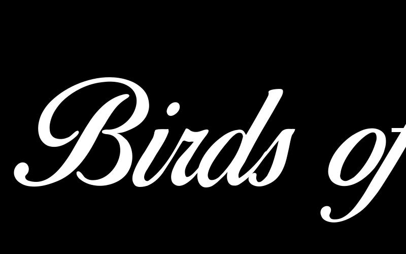 Birds of Paradise  Personal use Font