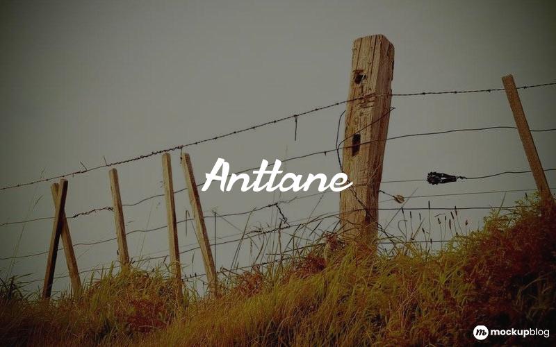 Anttane Font