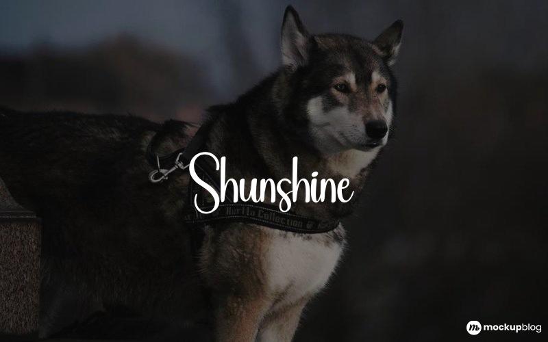 Shunshine-Schriftart