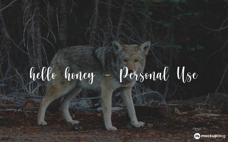 hello honey – Personal Use Font