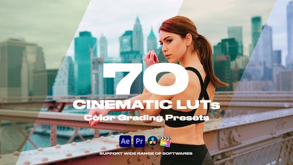 Cinematic LUTs Vol.1Cinematic LUTs Vol.1