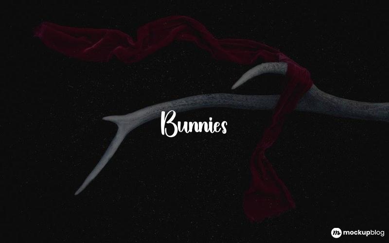 Bunnies Font