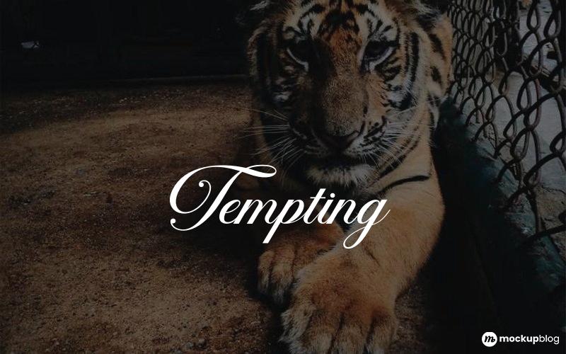 Tempting Schriftart