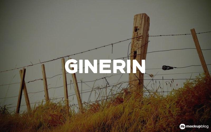 Ginerin Font