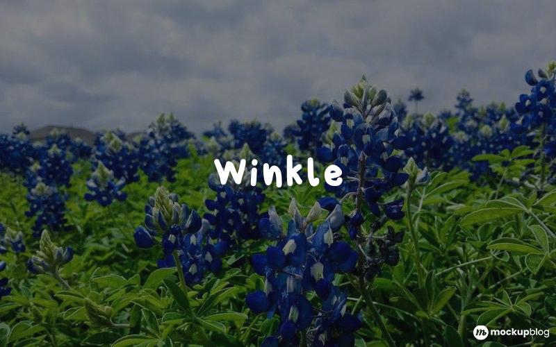 Winkle Font