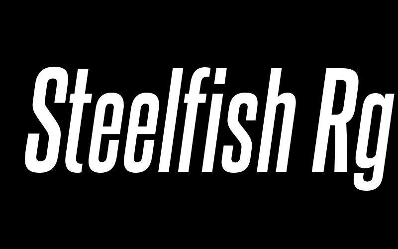 Steelfish Rg Font