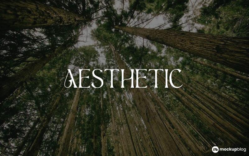 Aesthetic Font