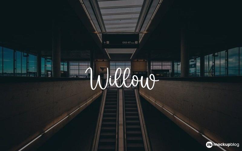 Willow Schriftart