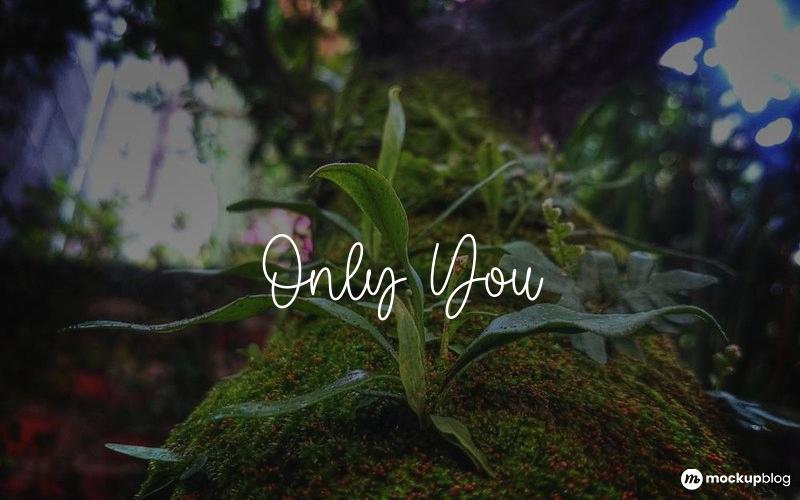 Only You Font