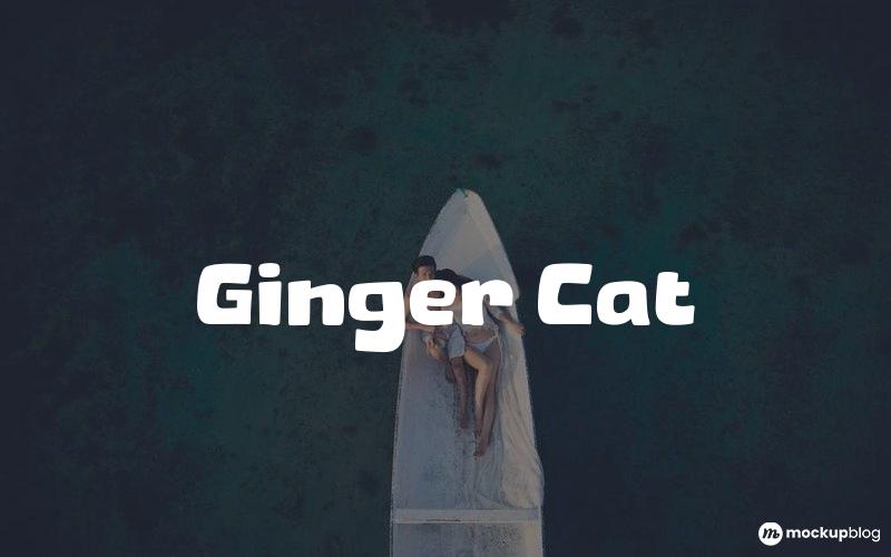 Ginger Cat Font