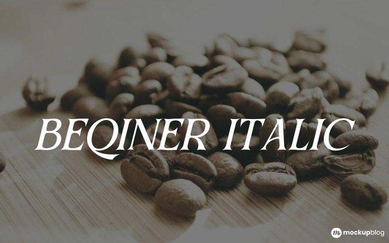 BEQINER ITALIC Font