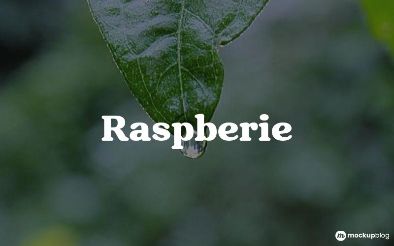 Raspberie Font