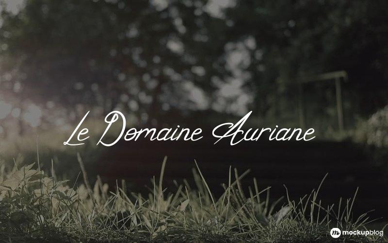 Le Domaine Auriane Font